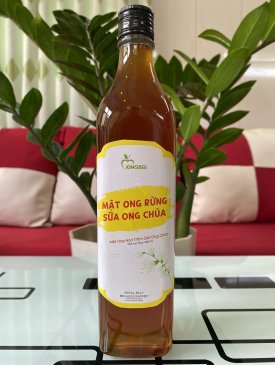 MẬT ONG RỪNG SỮA ONG CHÚA CHAI 520ML