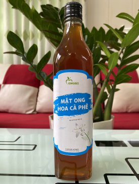 MẬT ONG HOA CÀ PHÊ CHAI 520ML