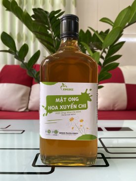 MẬT ONG HOA XUYẾN CHI CHAI 600ML